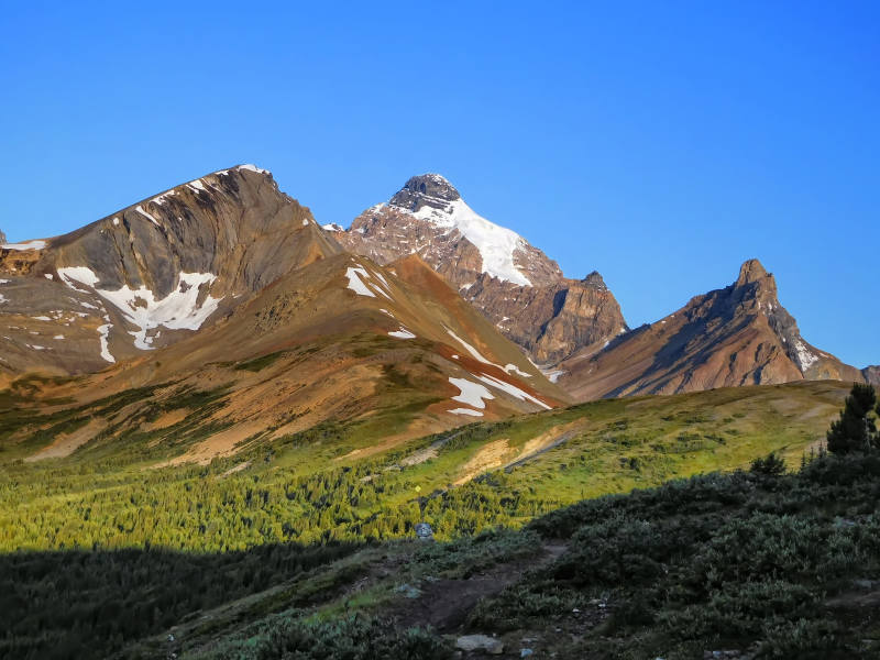 Mount Athabasca und Hilda Peak